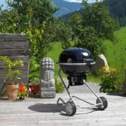 Barbecue Charbon Air F60 - Rosle* -Cuisine Bbq barbecue charbon rosle f60 4004293250063 6