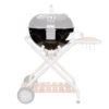 Cuve Barbecue Ascona 570 (avant 2014) - Outdoorchef -Cuisine Bbq cuve ascona 570 avant 2014 2020000023395