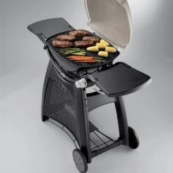 Grille De Cuisson Fonte émaillée Q300/Q3000 - Weber 9 Grille De Cuisson Fonte émaillée Q300/Q3000 - Weber -Cuisine Bbq grille de cuisson pour q300 barbecue a gaz weber 0077924038853 3